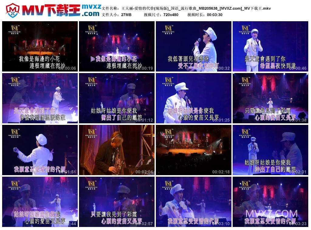 王天丽-爱情的代价(现场版)_国语_流行歌曲_MB205638